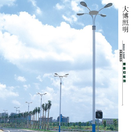 LED路燈高光效異形道路亮化照明工程市電交叉口四火廠(chǎng)家批發(fā)